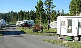 campground