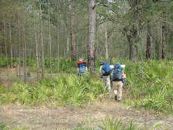 2005-05.jpg (76351 bytes)