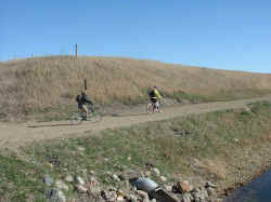 2005-32.jpg (46897 bytes)