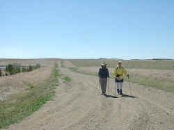 2005-33.jpg (37631 bytes)