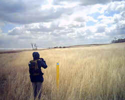 2005-36.jpg (32137 bytes)