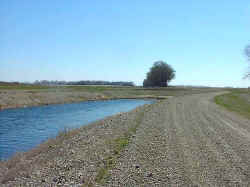 2005-41.jpg (51828 bytes)