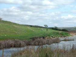 2005-49.jpg (43207 bytes)