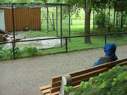 2005-06-11.jpg (86537 bytes)