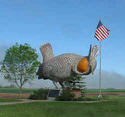 2005-06-31.jpg (22146 bytes)