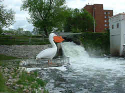 2005-06-41.jpg (57318 bytes)