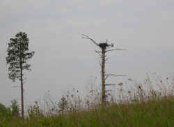 2005-06-51.jpg (39237 bytes)