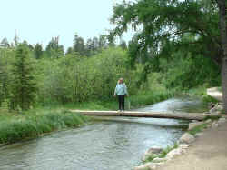 2005-06-81.jpg (53713 bytes)