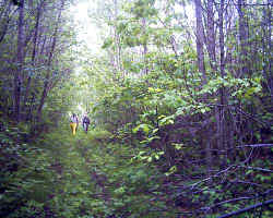 2005-06-96.jpg (52484 bytes)