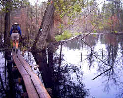 2005-08-090.jpg (68718 bytes)