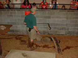 DSCF0738.jpg (24140 bytes)