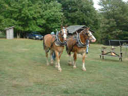 2005-11-07.jpg (53803 bytes)