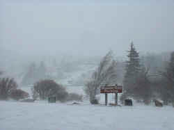 2005-11-18.jpg (18846 bytes)