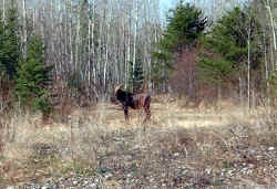 002.jpg (49417 bytes)