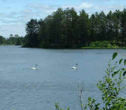 2006-03-06.JPG (37189 bytes)