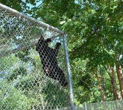 2006-03-08.JPG (58169 bytes)