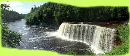 2006-03-16.JPG (66787 bytes)