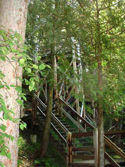 2006-03-17.JPG (64508 bytes)