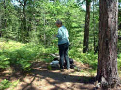 2006-03-18.JPG (50897 bytes)