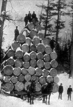 seney.jpg (24994 bytes)