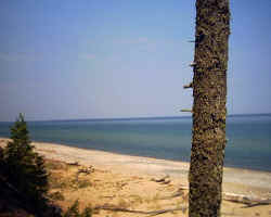 2006-04-15.JPG (26515 bytes)