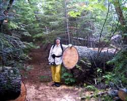 2006-04-19.JPG (69619 bytes)