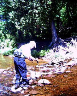 2007-6-11-09.jpg (44467 bytes)