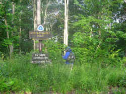 2008-50.jpg (60239 bytes)