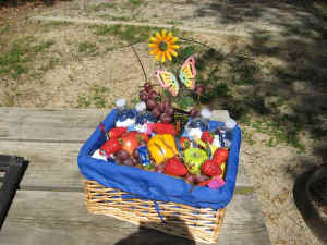 2009A03.jpg (46980 bytes)