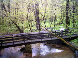 003.JPG (70483 bytes)