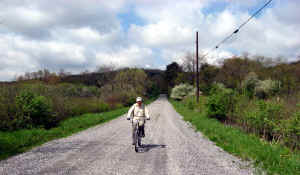 005.JPG (36361 bytes)