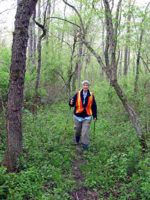 006.JPG (44631 bytes)