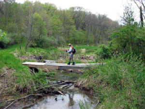 007.JPG (59055 bytes)