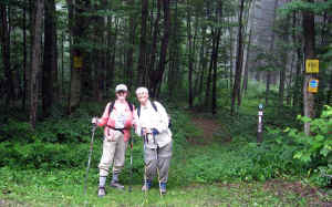 20.jpg (52542 bytes)