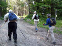 29.jpg (62166 bytes)