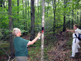 07.jpg (63085 bytes)