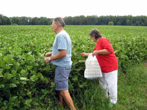 01.jpg (46973 bytes)