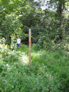 02.jpg (69534 bytes)