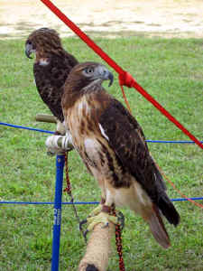 03.jpg (46526 bytes)