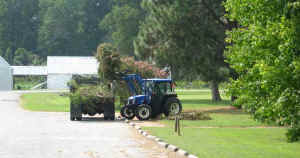 05.jpg (29926 bytes)