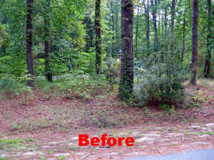 08.jpg (67273 bytes)