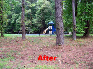 09.jpg (66226 bytes)