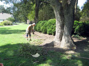 10.jpg (54798 bytes)