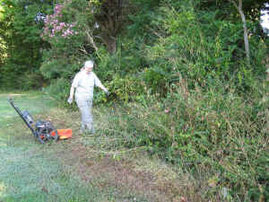 14.jpg (66251 bytes)