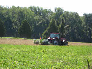 15.jpg (48226 bytes)